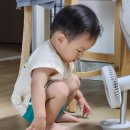 함영백소아과의원 | [D+650] 마들역 이형일소아과 4차 영유아검진(18~24개월) 후기 (국민건강보험에서 영유아검진 문진표...