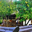 사진교실 이미지