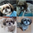 대신시장 이미지