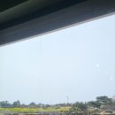 풍차다방 이미지