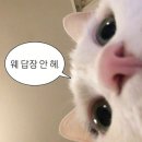 검배로 13번길 이미지