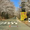 본동문화주유소 이미지