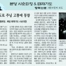 신사동성당