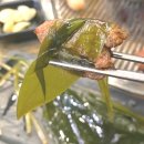 탐라생고기 이미지