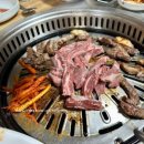 돈짱해물짱 이미지