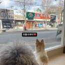 멈무드(mumood) 이미지