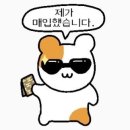 보물섬직구