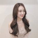 아데르 강남엔(N)타워점