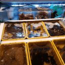 자갈치본가횟집 이미지