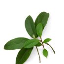 (주)윈터그린 이미지