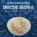 센텀글라스 이미지