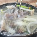 제주로뎀나무하우스 이미지