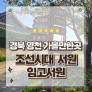 경북 영천여행 가볼만한곳 조선시대 임고서원 은행나무 선죽교 방문후기