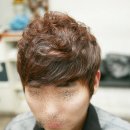 스왈로