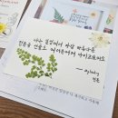 [서부] 캘리그라피 | 춘천 강원대학교 국제교류처 캘리그라피 압화액자 만들기 출강 후기