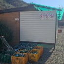 [화천캠핑장] 애견동반 가능한 별맛집 캠핑장 화천돌집야영장