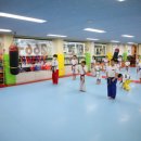 국가대표 MTA 태권도 이미지