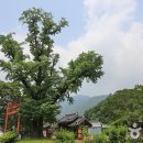덕천