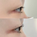 파리바게뜨 삼산중앙점 | 라무르브로우 :: 울산 삼산 속눈썹펌 추천 후기