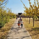 매화정원어린이집 이미지