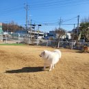 더킹호텔 이미지