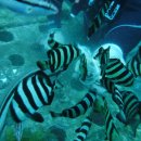 학포웰빙가 이미지