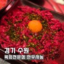 정직한 육회 도청점 | 광교중앙역 맛집 육회전문점 한우사농 육회랑 육개장전골 조합