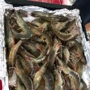 달서별빛캠프 캠핑장 이미지