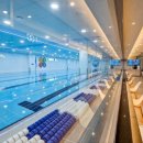 다가온 수영장 이미지