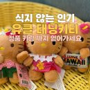 유니클로 태닝키티 티셔츠 매장 + 태닝키티 키링 정품 구매 후기
