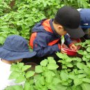 동그라미유치원 놀이터 이미지