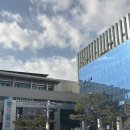 서귀포시청 제2청사 본관 | 제주 여행 혼인신고 ㅣ 서귀포 시청, 혼인신고서 양식, 증인 서명, 등록기준지