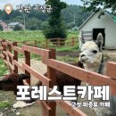 평창포레스트(평창FOR REST) | 포레스트카페 : 강원도 고성 파충류 이색 체험 카페 추천후기