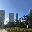 스폰지밥 | 부산 광안리 워킹홀리데이카페 추천, 스폰지밥팝업 후기