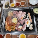 탐라도야지 이미지