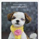 바오펫샵 이미지