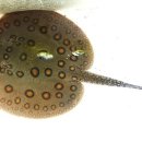 모토디케이 이미지