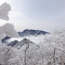 은빛나라