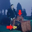 빌리 스토리 이미지