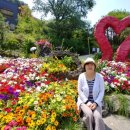 달무리농장 이미지