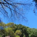 은판나비화장실 이미지