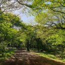 에코힐링 이미지