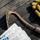 의령소바&명태어장, 쭈갑골 남해점 네이버블로그