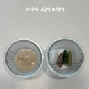 191 | 이유식 기록, 189–191일차 | 브로콜리 후기 (이유식 16-18일차)