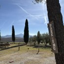 부자되는민박 | 이탈리아 토스카나 피엔차 숙소 아그리투리스모 일 카살리노 Agriturismo Il Casalino (이탈리아 농가민박)