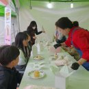 가족체험 이미지