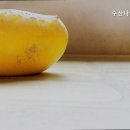 수산나고시원