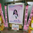 개여울민박 | 170924 아이유 9주년 팬미팅 '아홉갈피' 후기