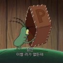 안면도덤앤더머 | 다시는돌아오지않는여름의또다른이름은영원이라불러요