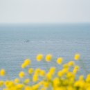 테마투어(농어촌 체험) 이미지